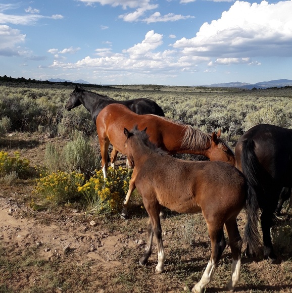 Meet your Posher, Brenda - Picture 13 of 13